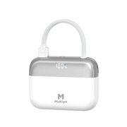 Dual-Cable Power Bank