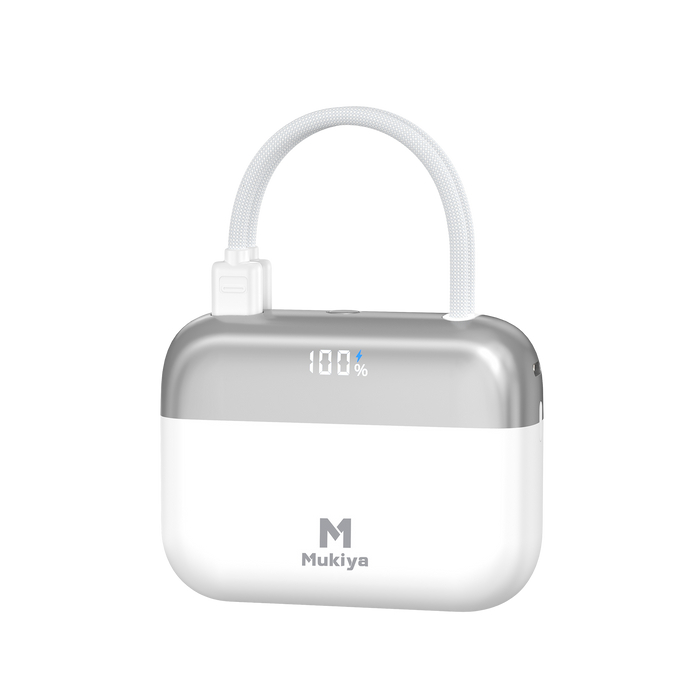 Power Banks